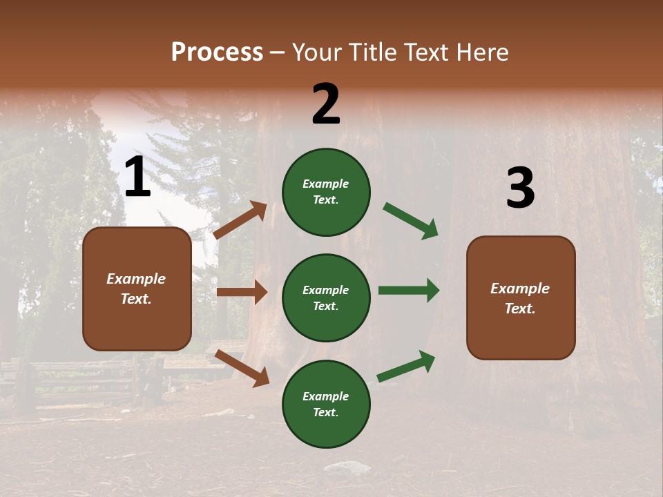 Pines Old Flag PowerPoint Template
