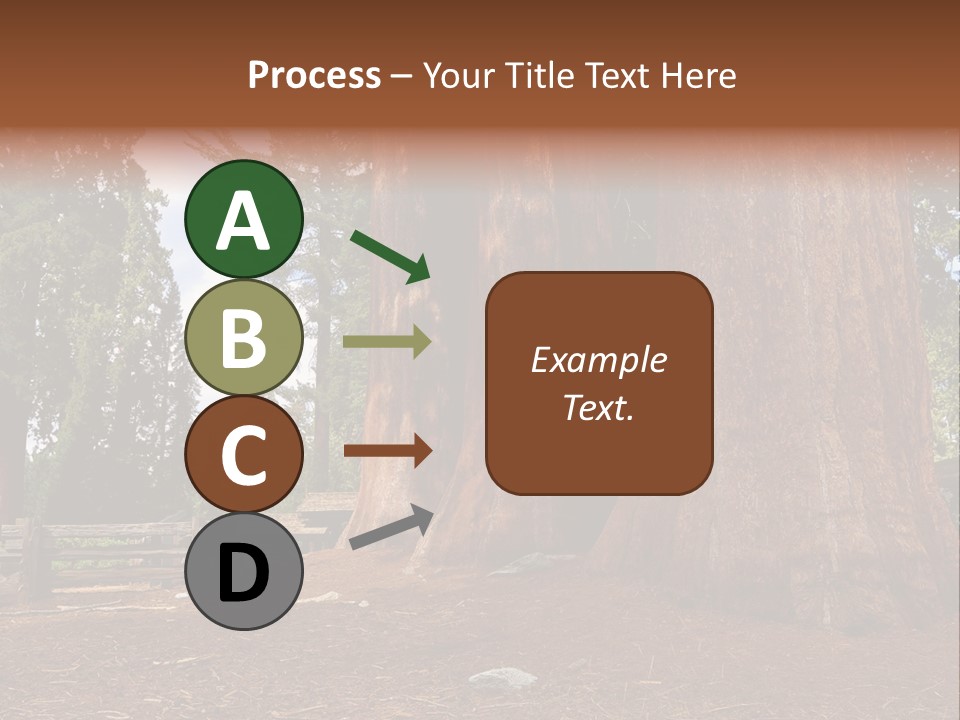 Pines Old Flag PowerPoint Template