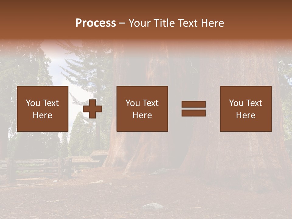 Pines Old Flag PowerPoint Template
