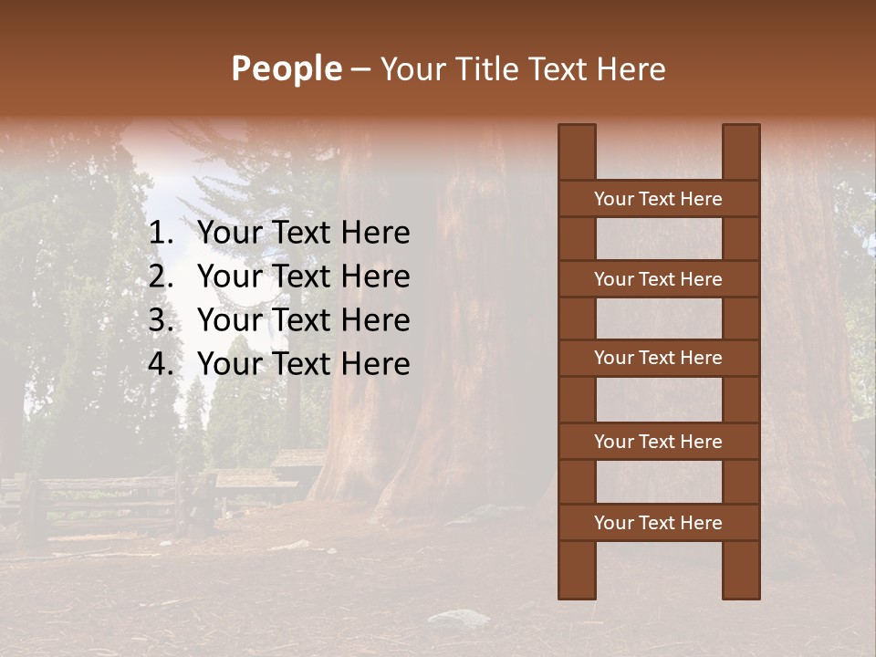 Pines Old Flag PowerPoint Template