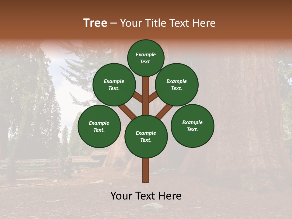 Pines Old Flag PowerPoint Template