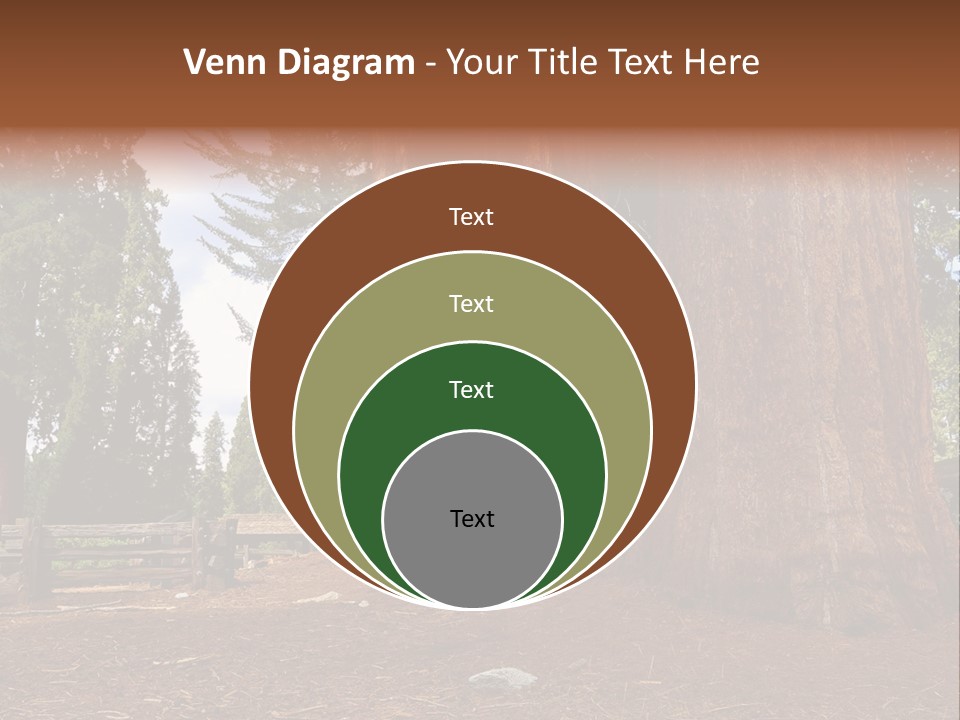 Pines Old Flag PowerPoint Template