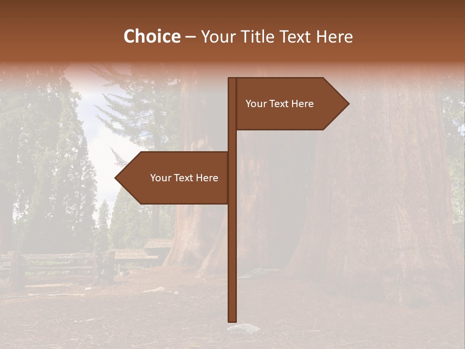 Pines Old Flag PowerPoint Template