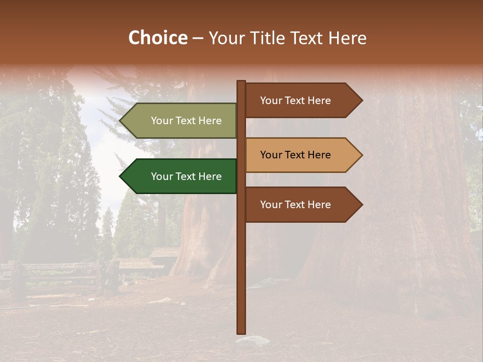 Pines Old Flag PowerPoint Template