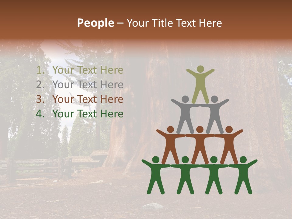 Pines Old Flag PowerPoint Template