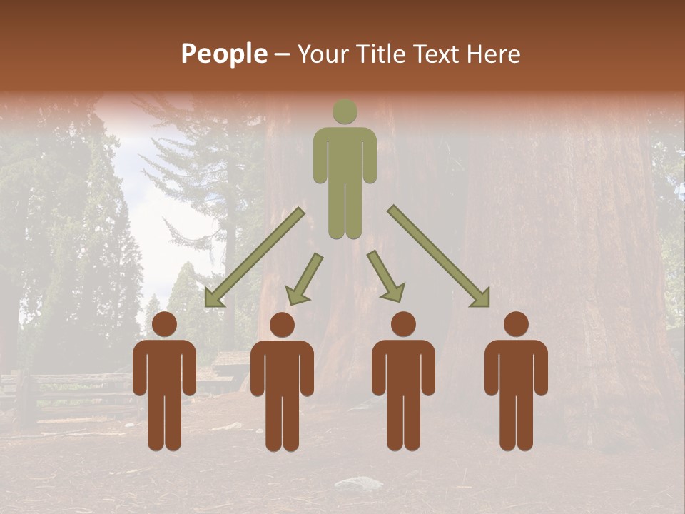 Pines Old Flag PowerPoint Template