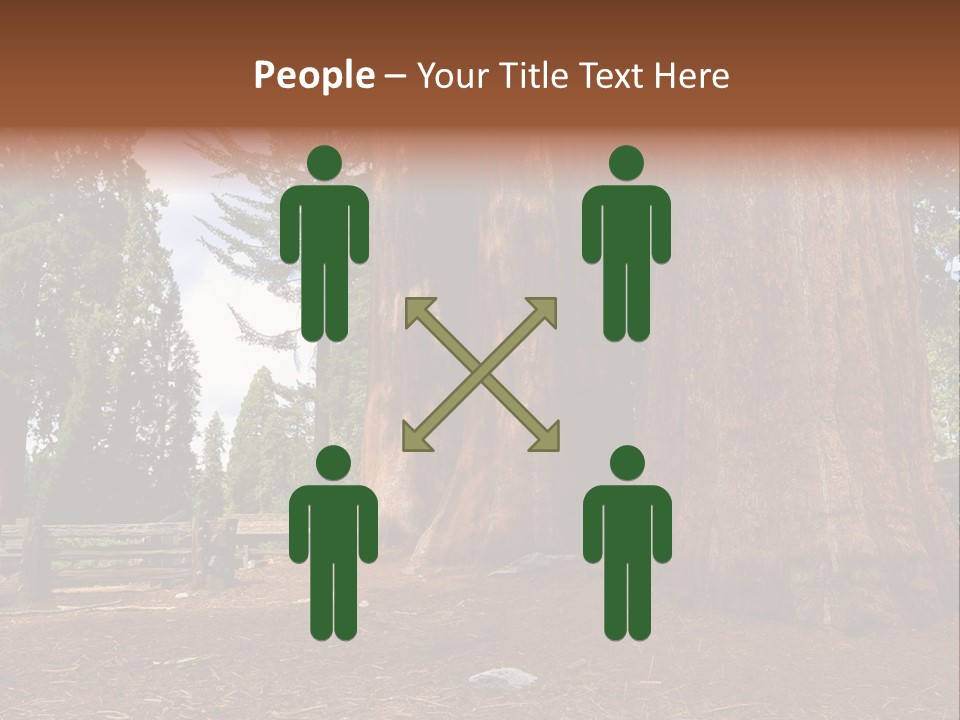 Pines Old Flag PowerPoint Template