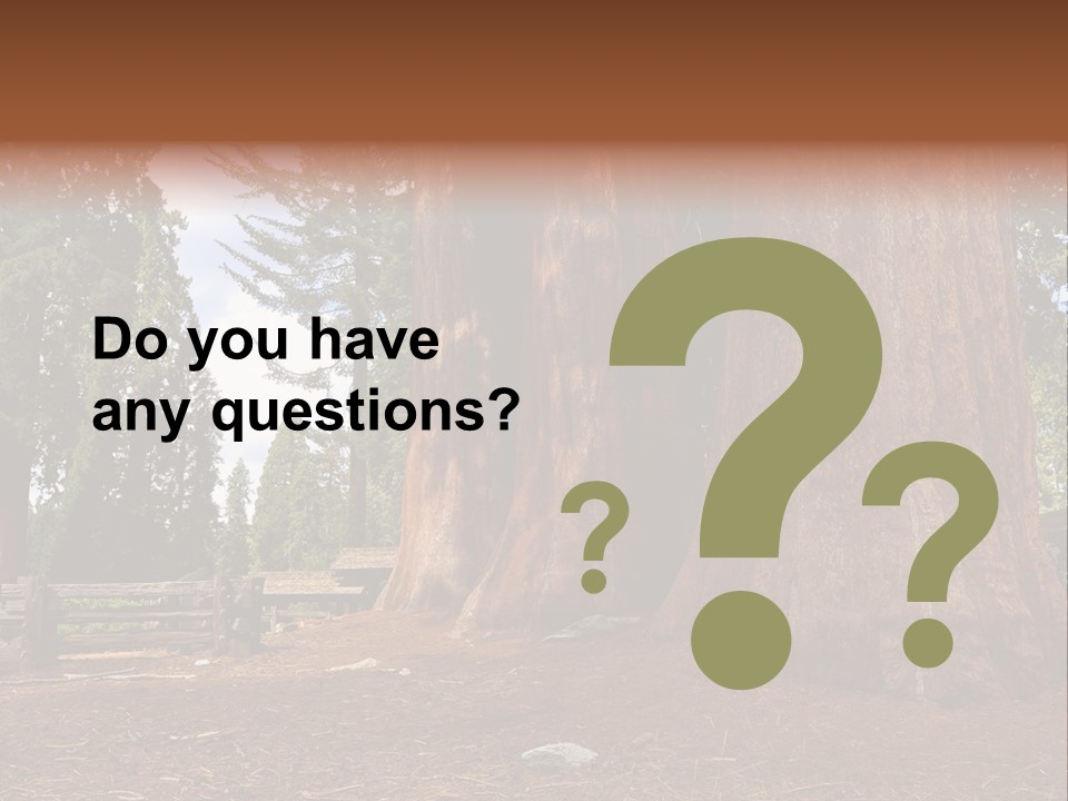 Pines Old Flag PowerPoint Template