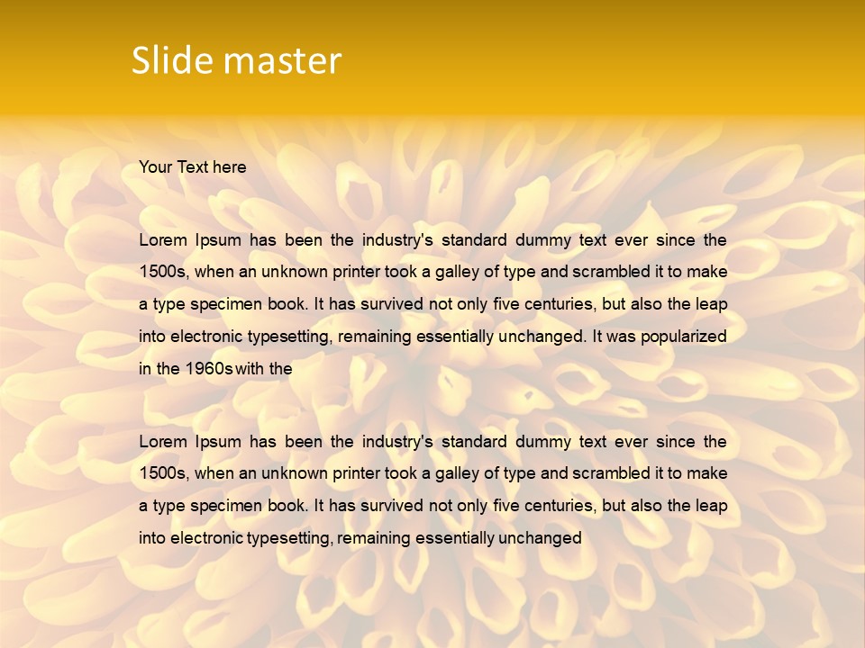 Beautiful Chrysanthemum Spring PowerPoint Template