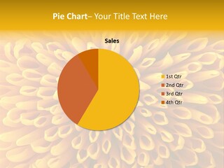 Beautiful Chrysanthemum Spring PowerPoint Template