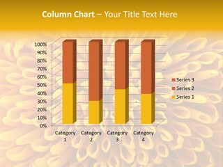 Beautiful Chrysanthemum Spring PowerPoint Template