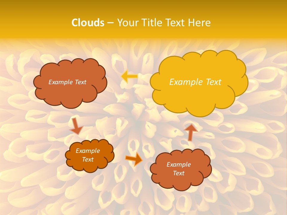 Beautiful Chrysanthemum Spring PowerPoint Template