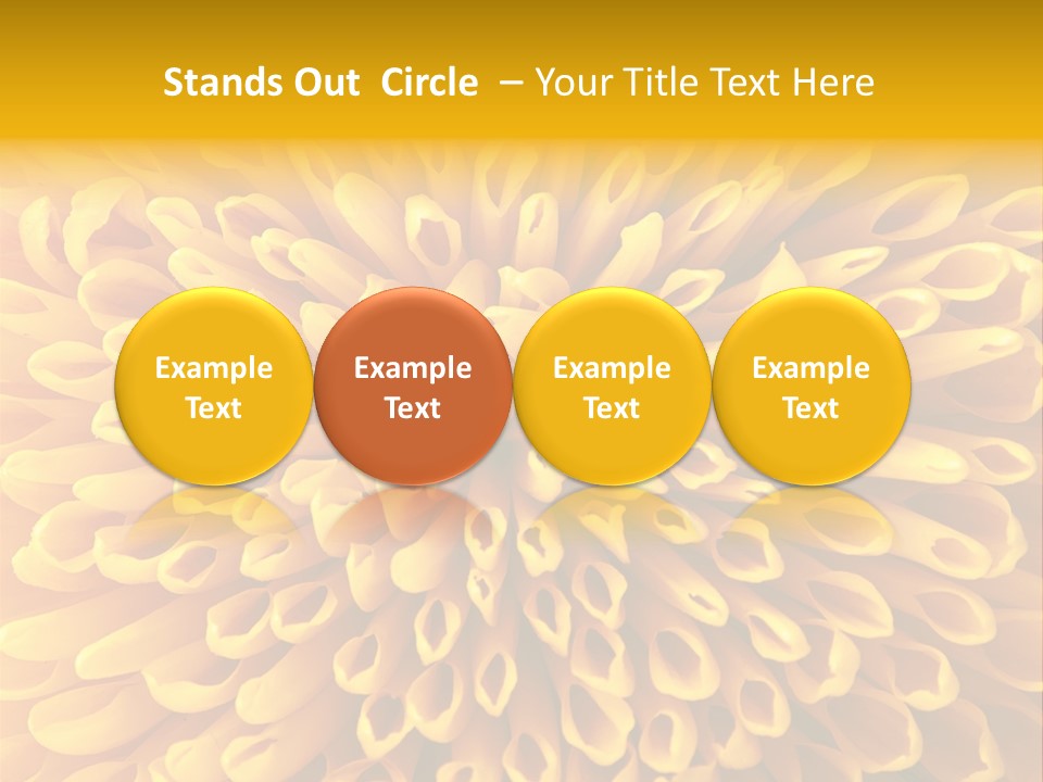 Beautiful Chrysanthemum Spring PowerPoint Template