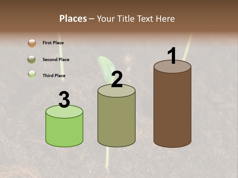 New Leaf Environmental PowerPoint Template