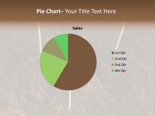 New Leaf Environmental PowerPoint Template