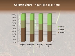 New Leaf Environmental PowerPoint Template