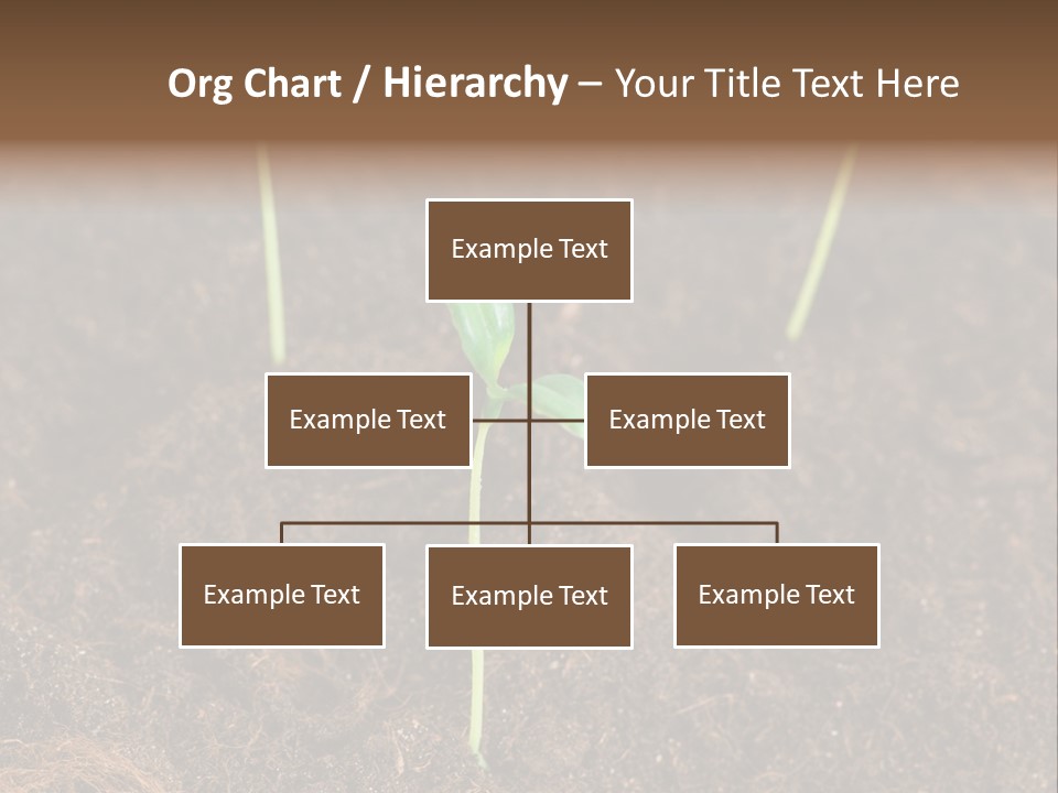 New Leaf Environmental PowerPoint Template