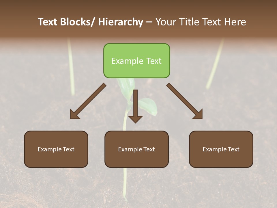 New Leaf Environmental PowerPoint Template