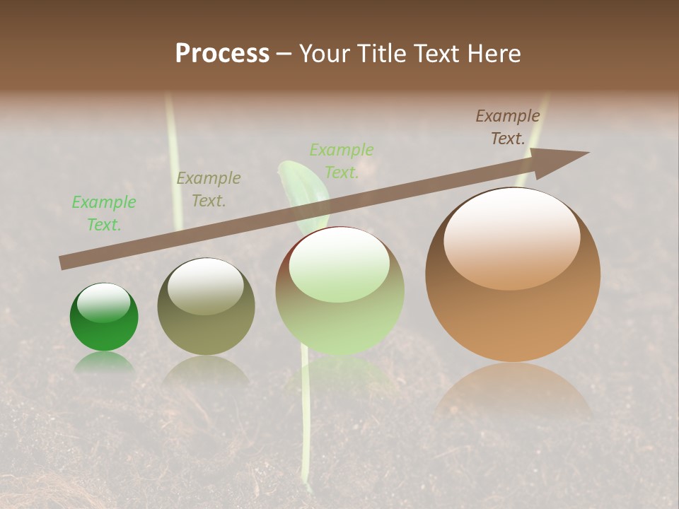 New Leaf Environmental PowerPoint Template
