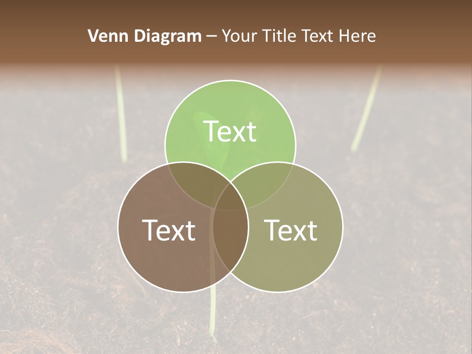 New Leaf Environmental PowerPoint Template