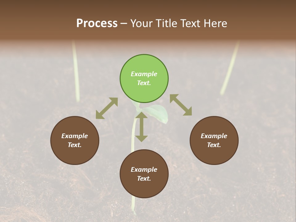 New Leaf Environmental PowerPoint Template