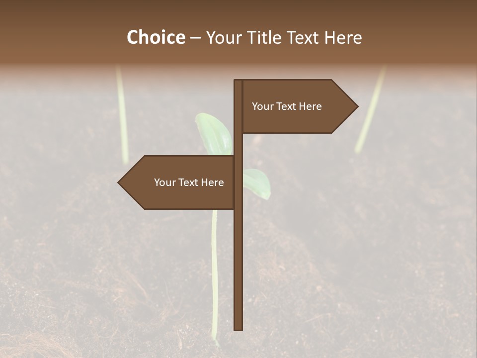 New Leaf Environmental PowerPoint Template