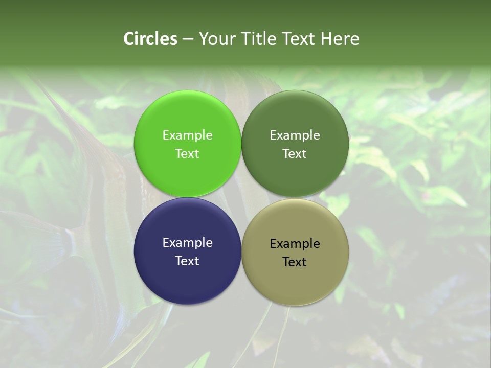 Tropical Symphysodon Plants PowerPoint Template