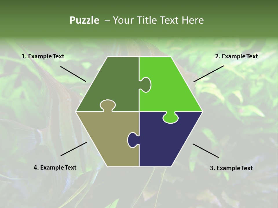 Tropical Symphysodon Plants PowerPoint Template