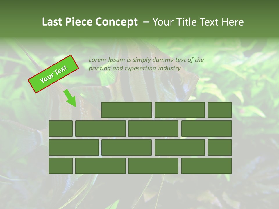 Tropical Symphysodon Plants PowerPoint Template