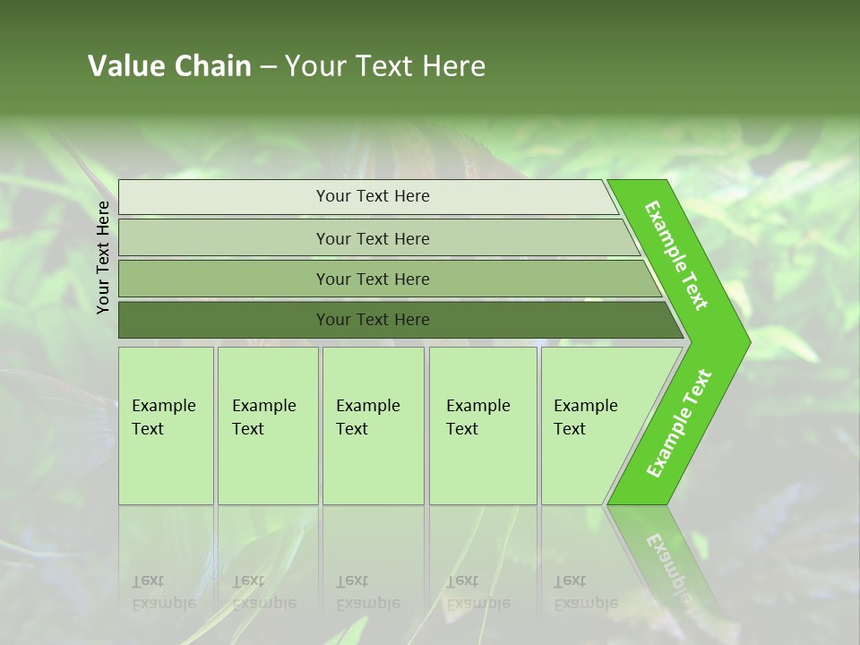 Tropical Symphysodon Plants PowerPoint Template