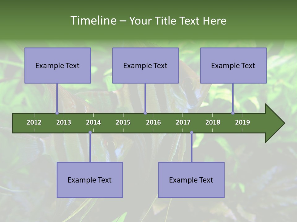 Tropical Symphysodon Plants PowerPoint Template