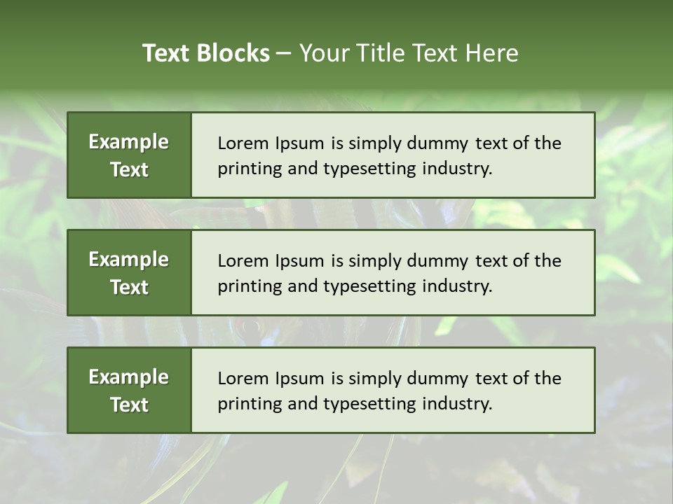 Tropical Symphysodon Plants PowerPoint Template
