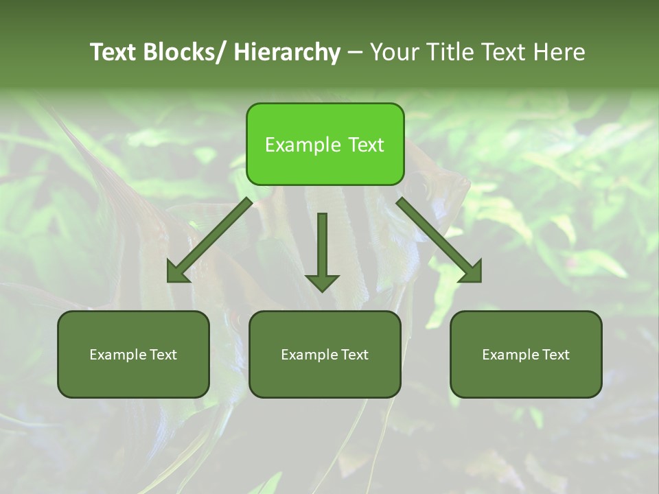 Tropical Symphysodon Plants PowerPoint Template