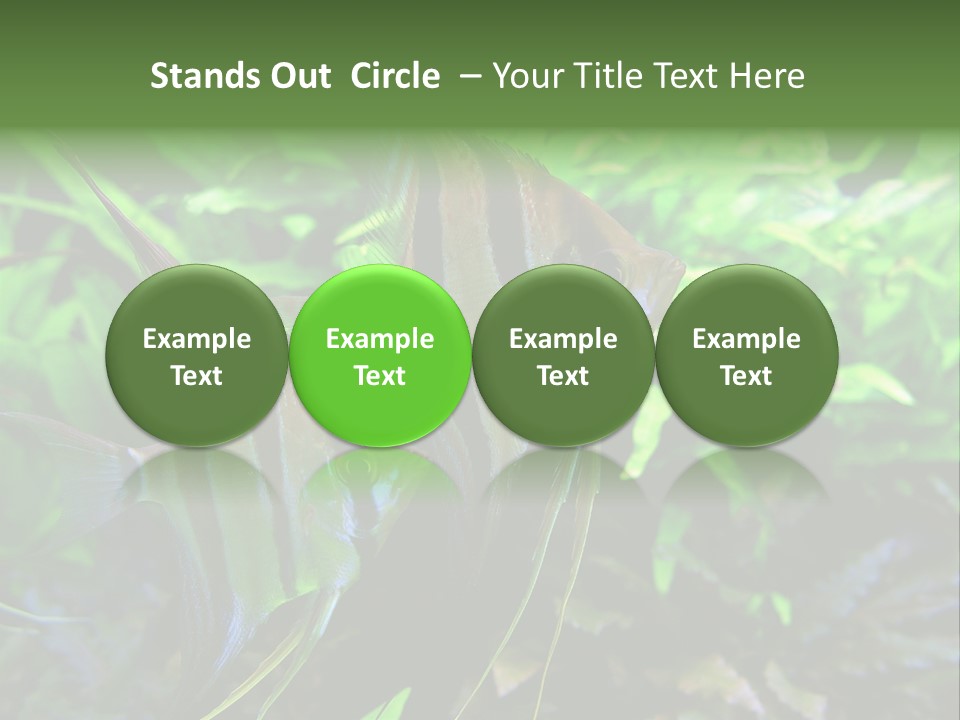 Tropical Symphysodon Plants PowerPoint Template