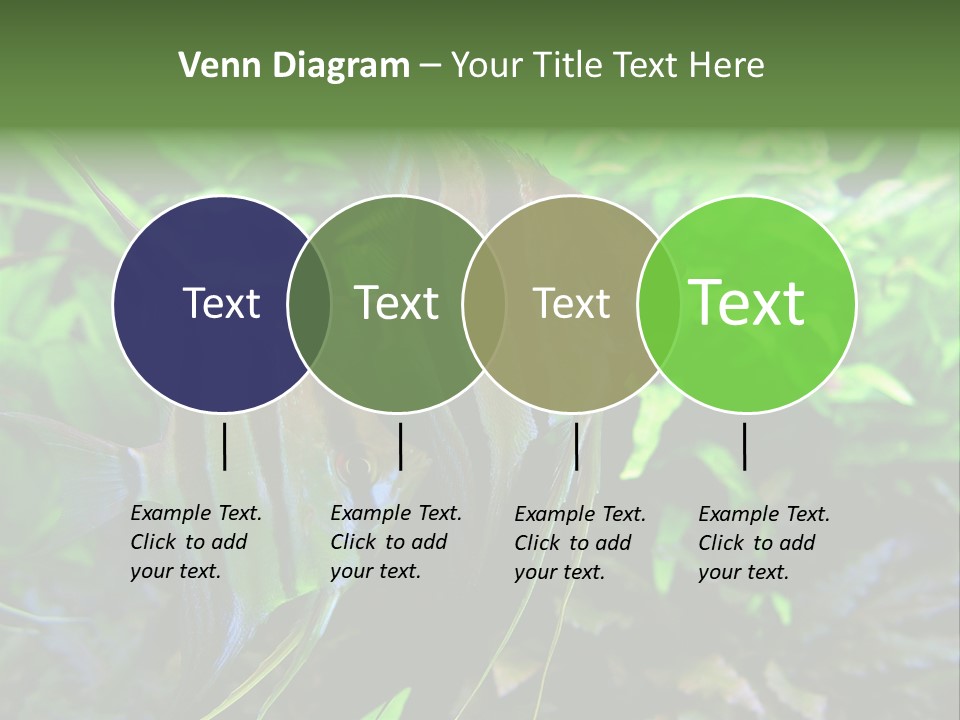 Tropical Symphysodon Plants PowerPoint Template