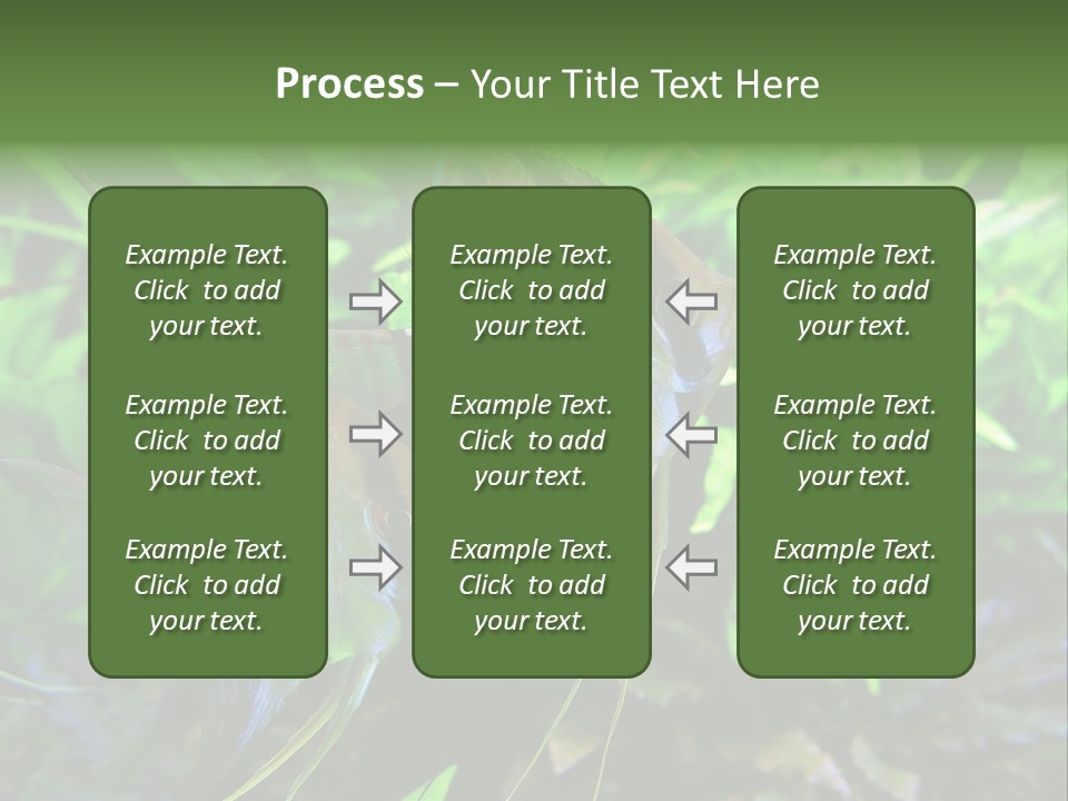 Tropical Symphysodon Plants PowerPoint Template