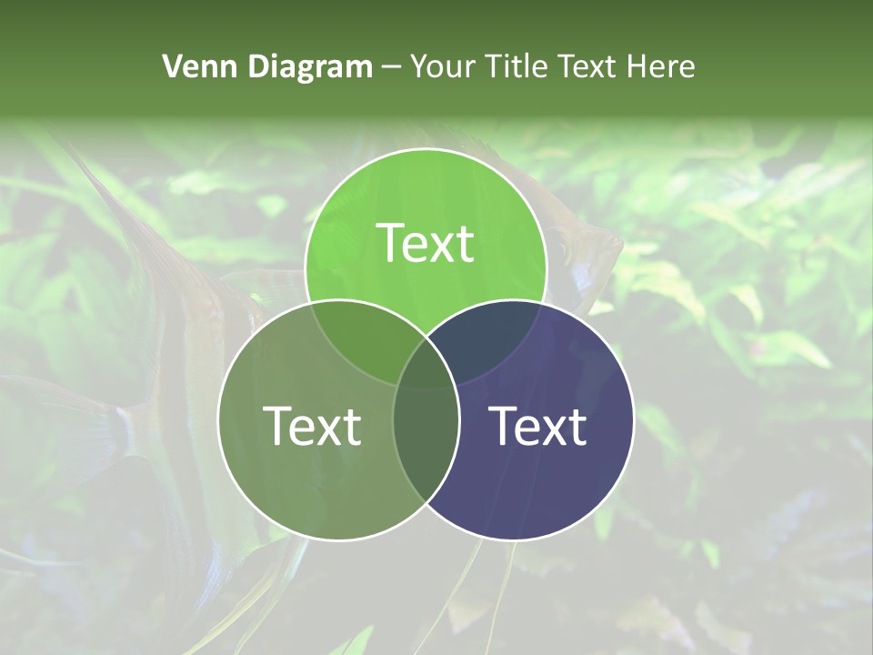 Tropical Symphysodon Plants PowerPoint Template