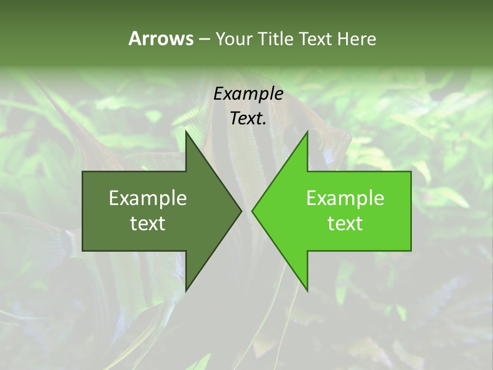 Tropical Symphysodon Plants PowerPoint Template