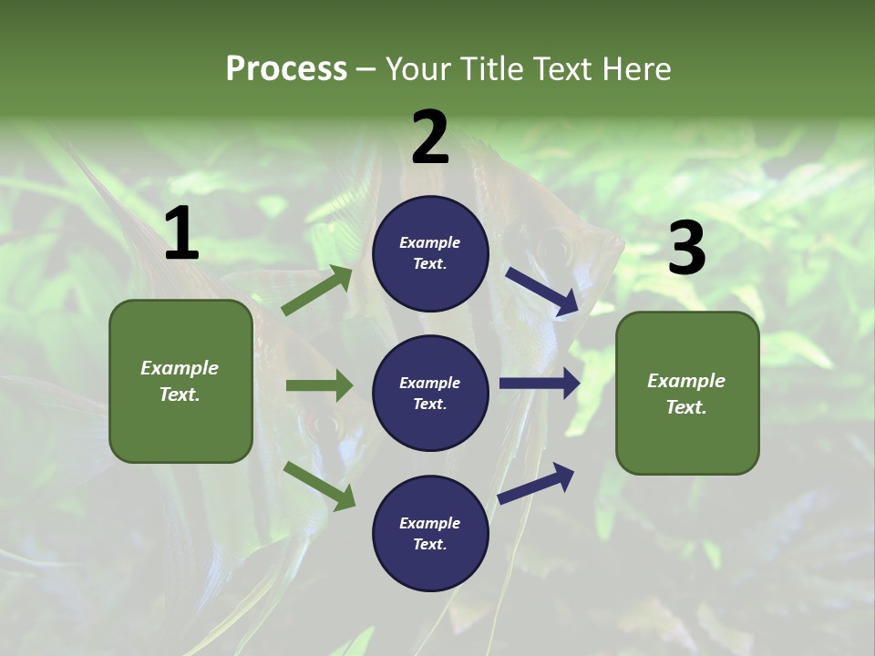 Tropical Symphysodon Plants PowerPoint Template