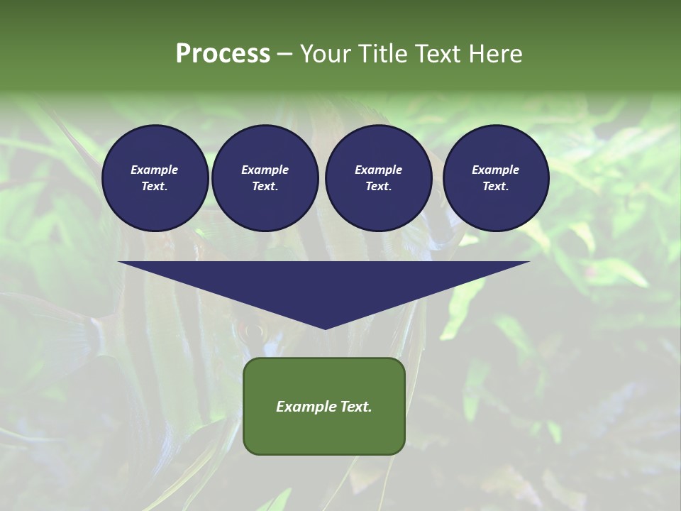 Tropical Symphysodon Plants PowerPoint Template