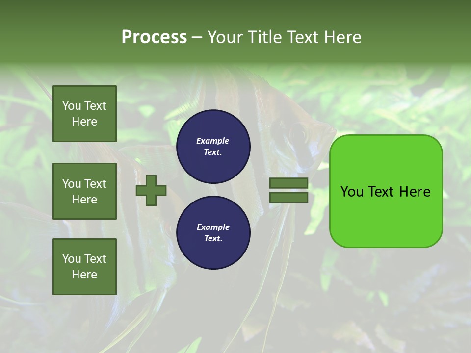 Tropical Symphysodon Plants PowerPoint Template