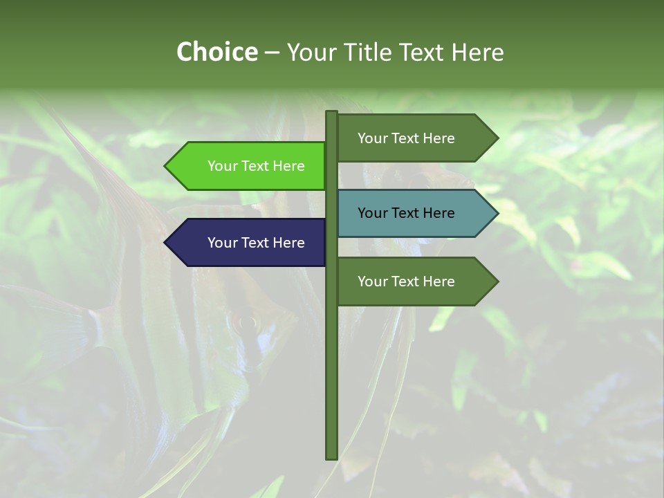 Tropical Symphysodon Plants PowerPoint Template