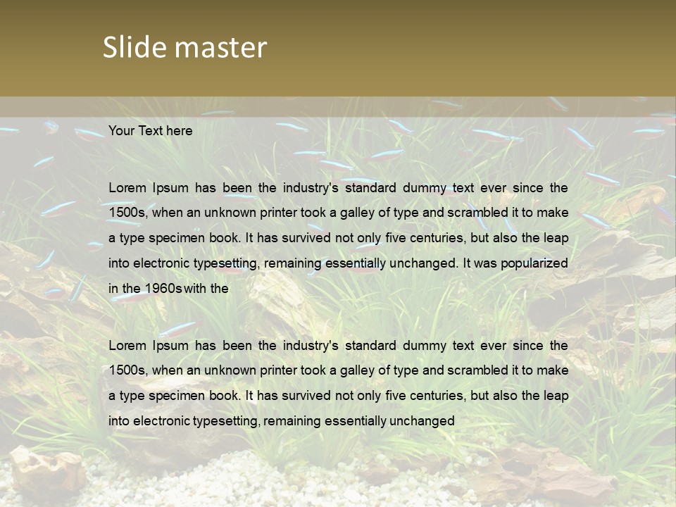 A Fish Tank Filled With Plants And Rocks PowerPoint Template