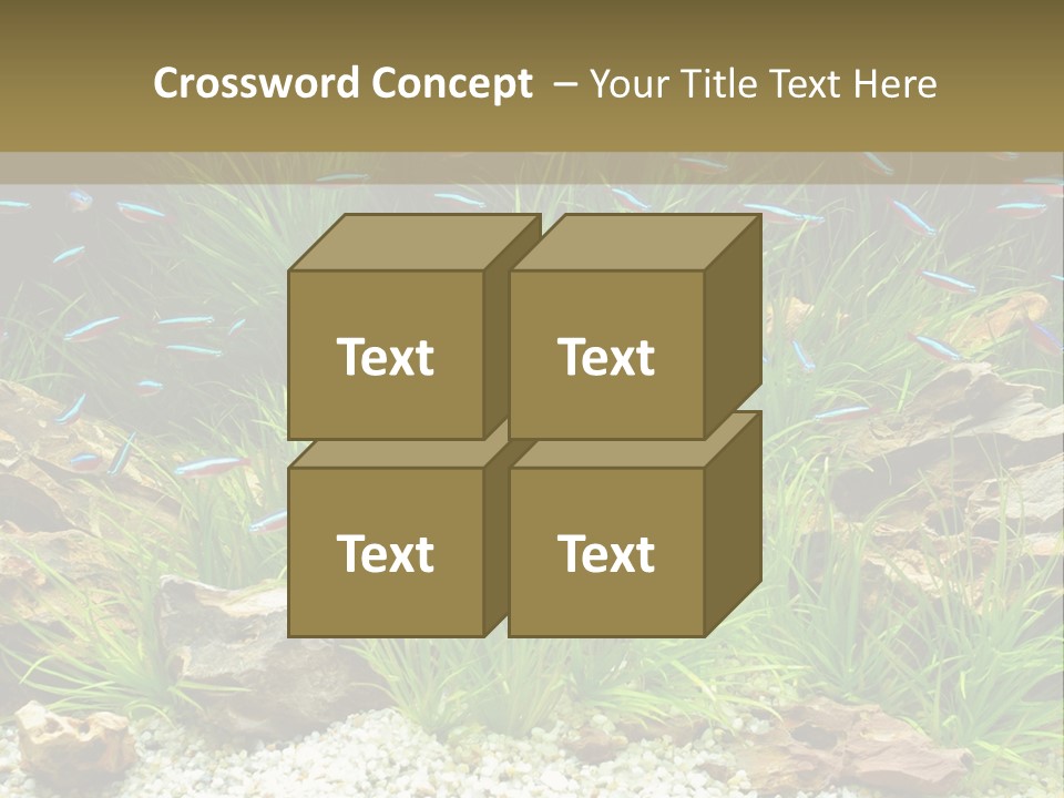 A Fish Tank Filled With Plants And Rocks PowerPoint Template