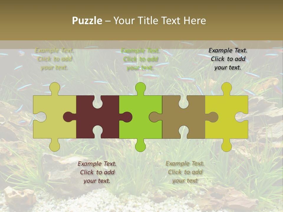 A Fish Tank Filled With Plants And Rocks PowerPoint Template