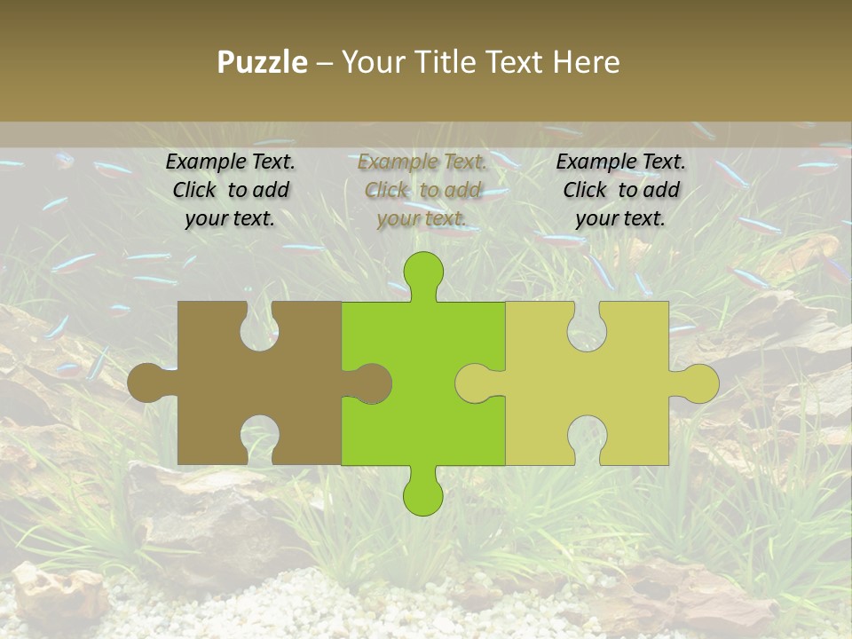 A Fish Tank Filled With Plants And Rocks PowerPoint Template