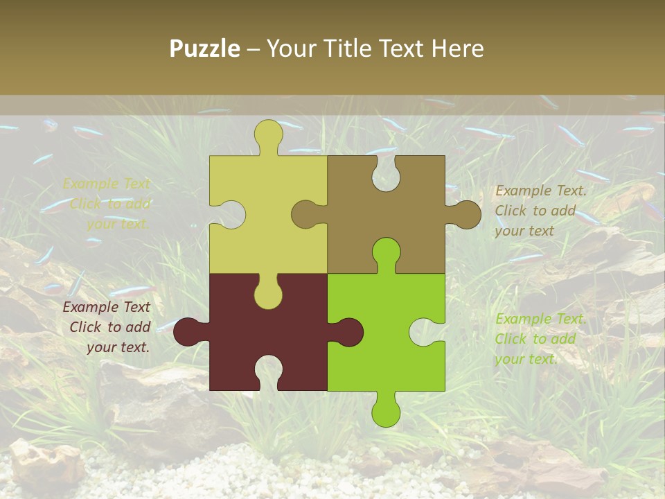 A Fish Tank Filled With Plants And Rocks PowerPoint Template