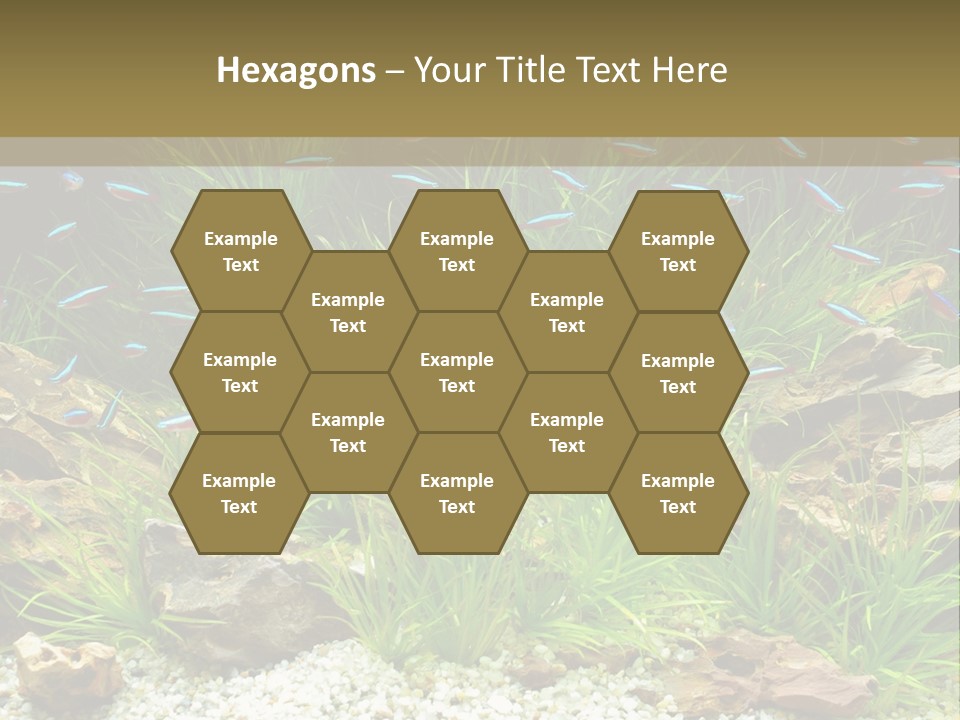 A Fish Tank Filled With Plants And Rocks PowerPoint Template