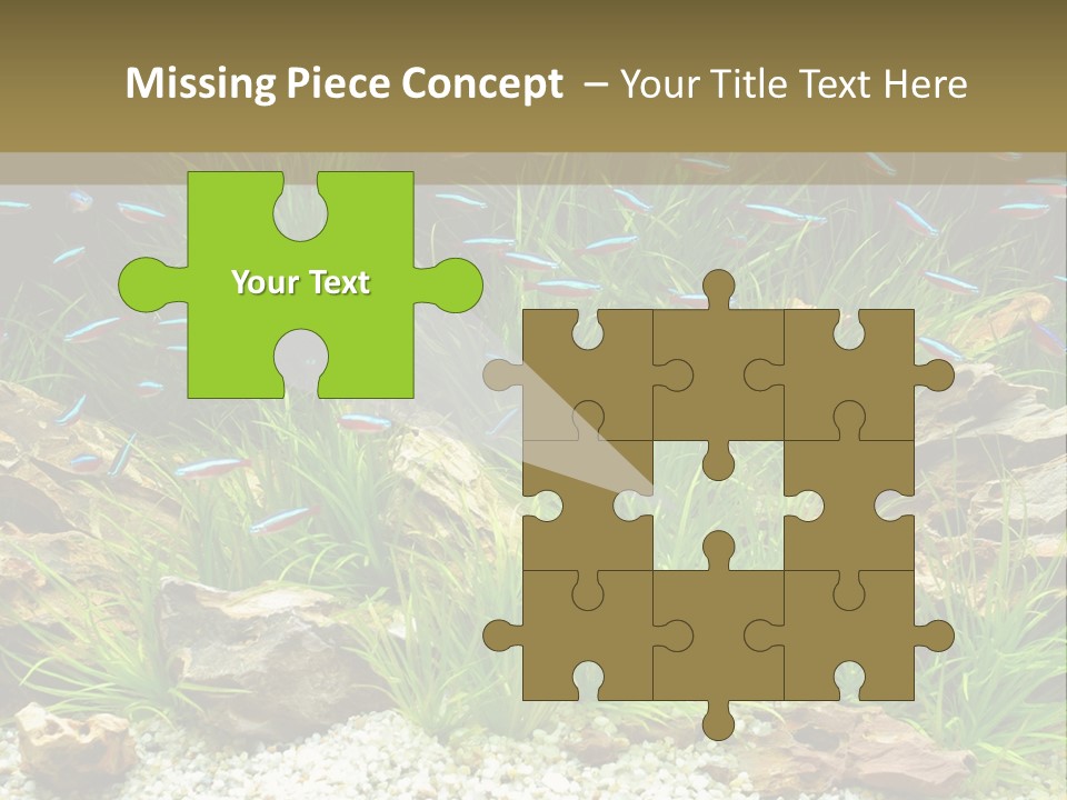 A Fish Tank Filled With Plants And Rocks PowerPoint Template