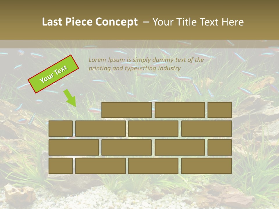 A Fish Tank Filled With Plants And Rocks PowerPoint Template